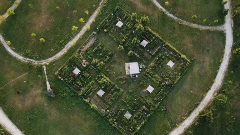 Посетители на Микрофестивалот Бостание во градина, со работилници и музичка програма.