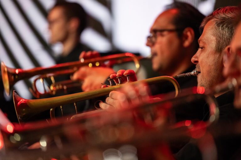 Националниот џез оркестар на сцена