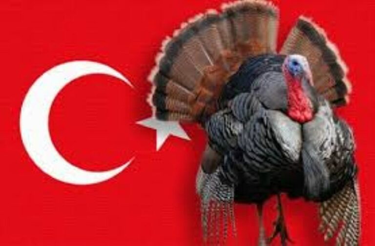 Турција го промени името во Türkiye – симбол на културна и политичка промена.