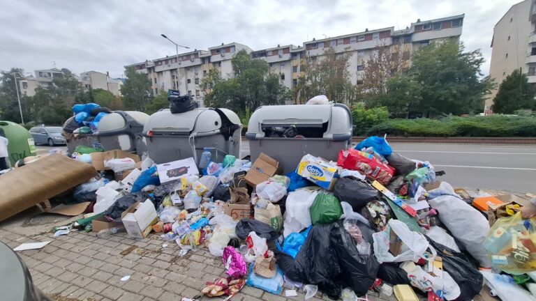 Контејнери преполни со отпад во Скопје
