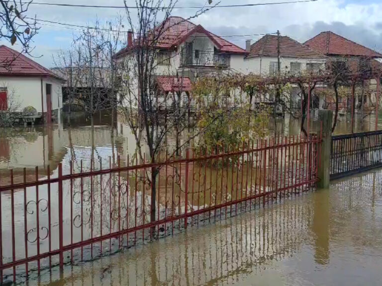 Слика од поплавите во ПРеспа