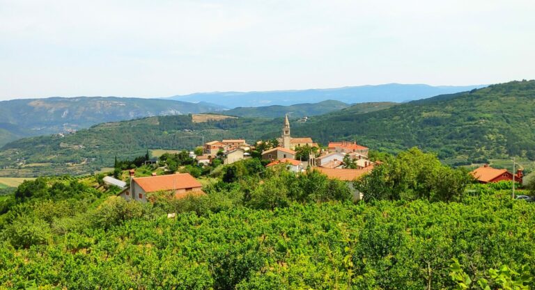 Полиција и возила на шумски пат во Истра