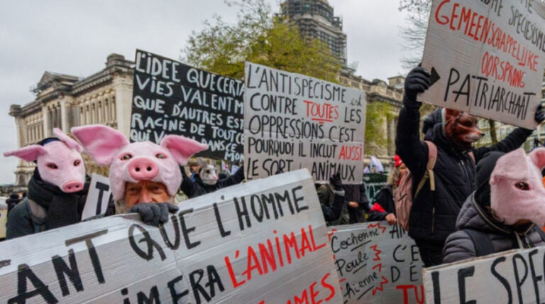 штрајк во Белгија 2025