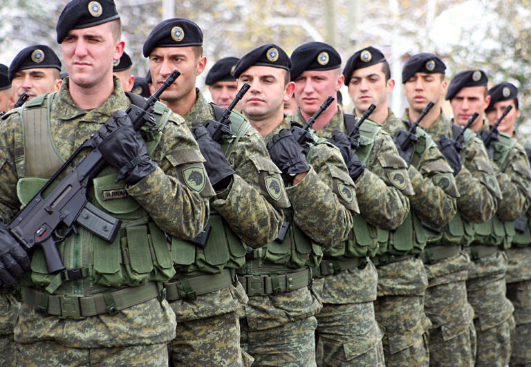 Млади Хрвати од дијаспората изразуваат ставови против обврзниот воен рок