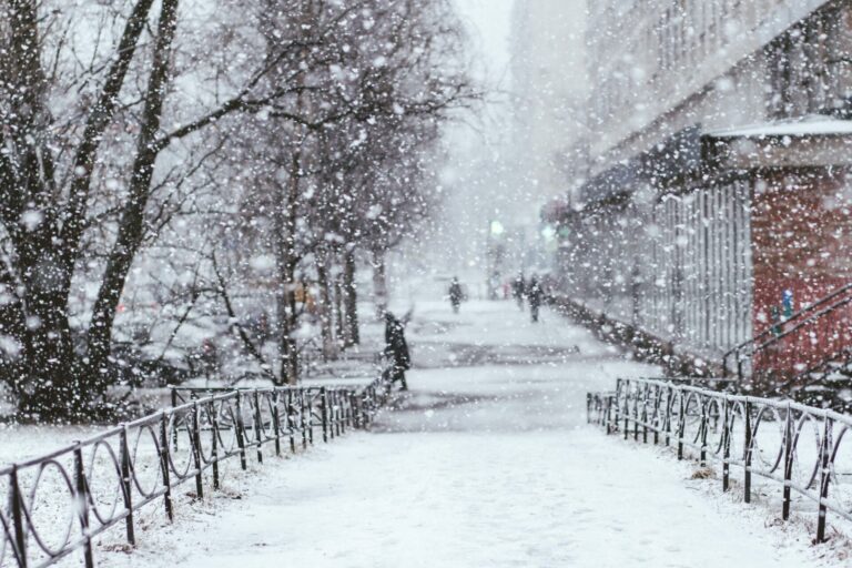 снежна бура САД