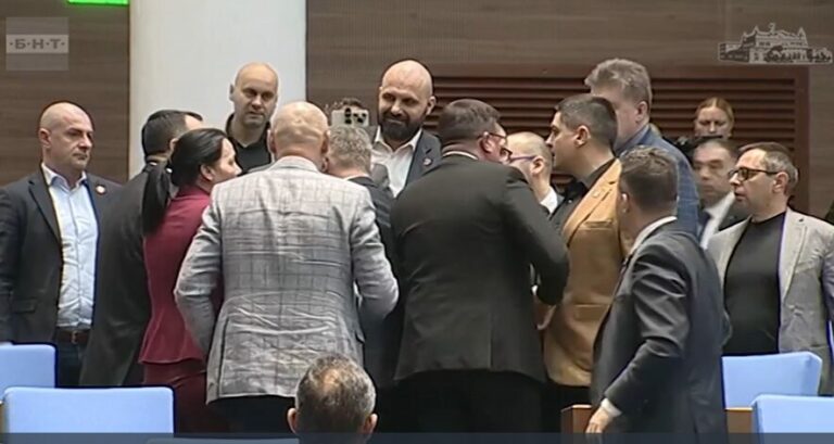 Тепачка од бугарскиот паралмент