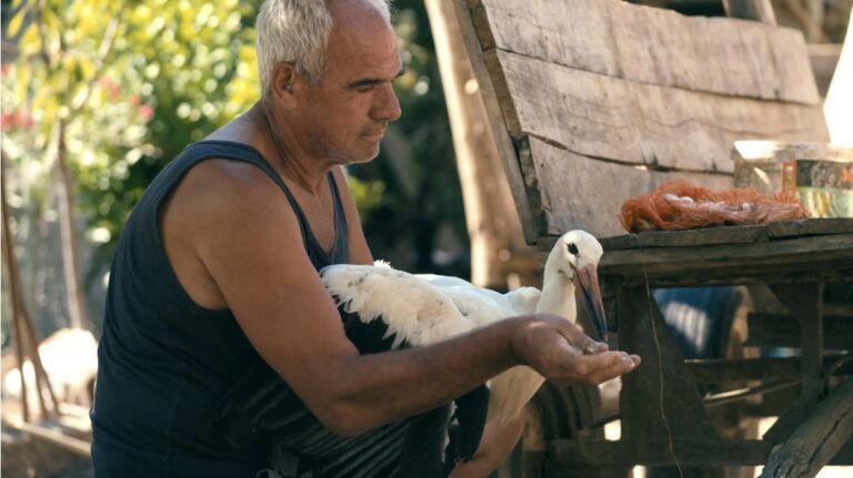 Сцена од филмот