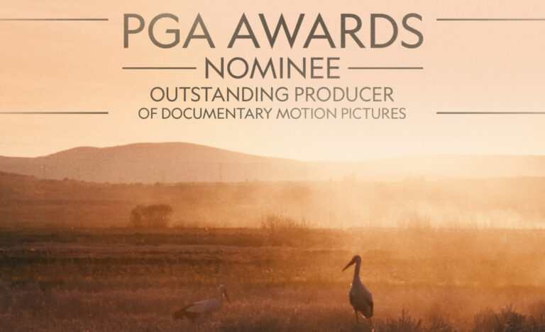 Постер за наградите