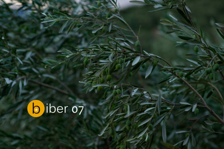 Илускација од отворен конкурс за краток расказ „Бибер“ со повеќејазичен повик