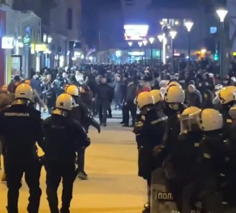 Полициско присуство на протест во Нови Сад